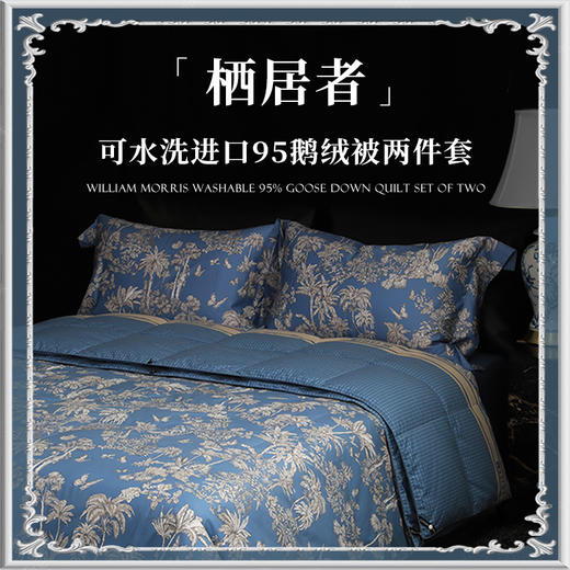 【新品】ESTEEM/宜庭 栖居者可水洗95鹅绒子母被两件套【专柜同款】 商品图5