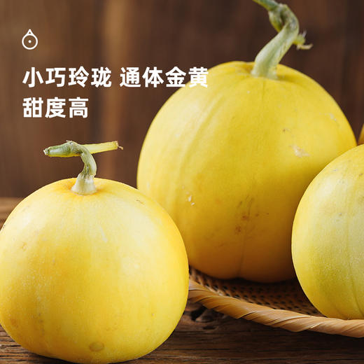 企鹅市集|山东临沂 黄冰糖脆甜瓜 2规格可选 清脆甜蜜 小巧可爱 商品图3