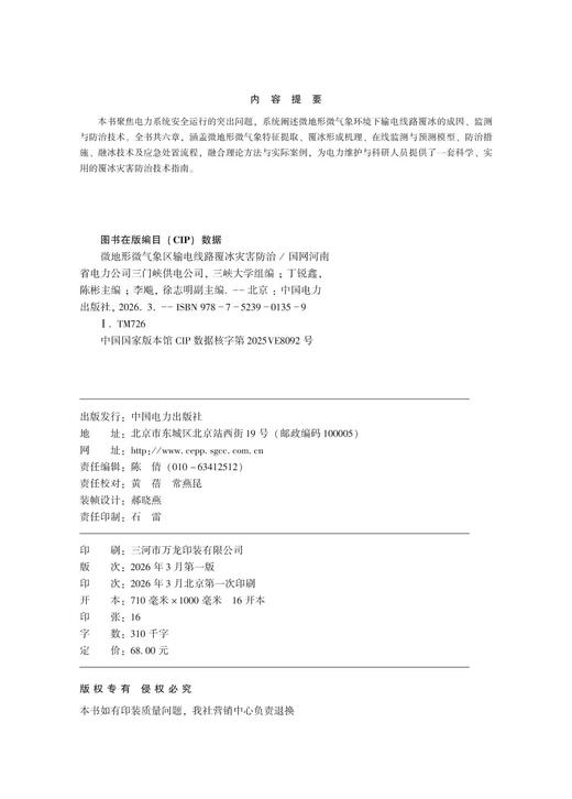 微地形微气象区输电线路覆冰灾害防治 商品图3