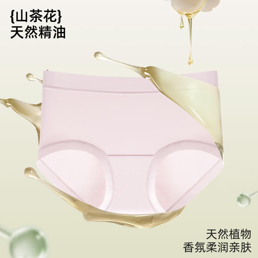 QIUBAN秋板A类棉莫山茶花内裤 无痕轻盈无束缚 M70 商品图2