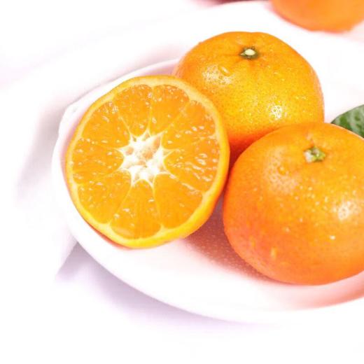 糖果柑1.2kg/袋 (果径50-55mm） 商品图1