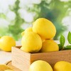 看得见的放心 安岳柠檬2粒 约250g/份 商品缩略图3