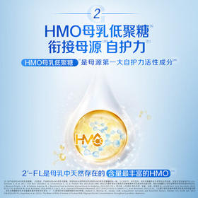 嘉宝（GERBER）PHW部分水解乳清蛋白配方米粉高铁宝宝辅食米粉250g100%真验厂