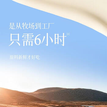 索菲亚冰淇淋 提拉米苏口味冰糕大碗冰激凌 雪糕冷饮 450g*1碗 商品图3