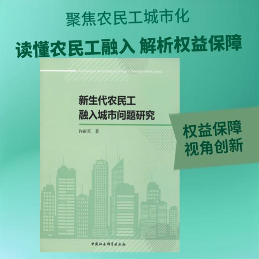 新生代农民工融入城市问题研究 商品图0