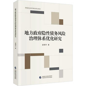 地方政府隐性债务风险治理体系优化研究