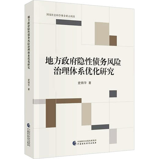 地方政府隐性债务风险治理体系优化研究 商品图0