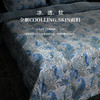 【新品】ESTEEM/宜庭 艾米莉的夏日凉感可水洗95鹅绒夏被双面设计一面温一面凉【专柜同款】 商品缩略图8