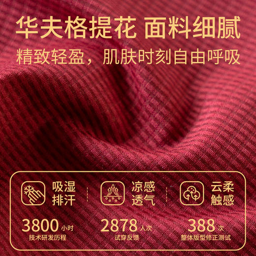 内裤女本命年红内裤高腰收腹轻塑无痕10A抗菌桑蚕丝红色女士 商品图2