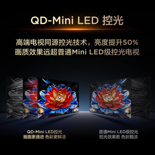TCL电视 55T5M Plus 55英寸 QD-Mini LED控光 QLED量子点 WiFi6 超薄 商品图6