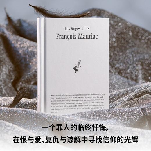 黑天使（诺奖得主莫里亚克纯熟之作，绝美精装文库本全新呈现! 一部现代版《呼啸山庄》，一份人性观察记录，在恨与爱、复仇与谅解中寻找信仰 商品图1