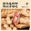 花生姑娘五香味花生米310克/罐装脱油去皮多味花生香酥酒鬼下酒菜坚果炒货 /休闲食品 /坚果炒货 /花生 商品缩略图2