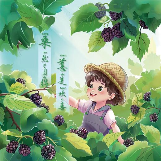 桑葚 300g/盒 商品图2
