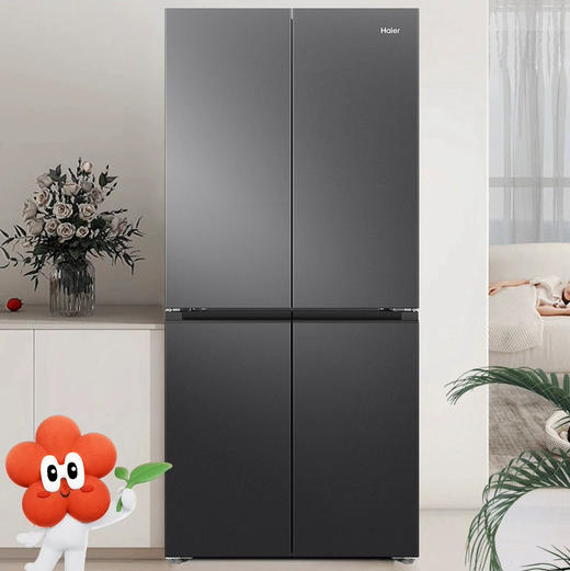 海尔（Haier）冰箱 BCD-501WGHTDEDS9U1 商品图3