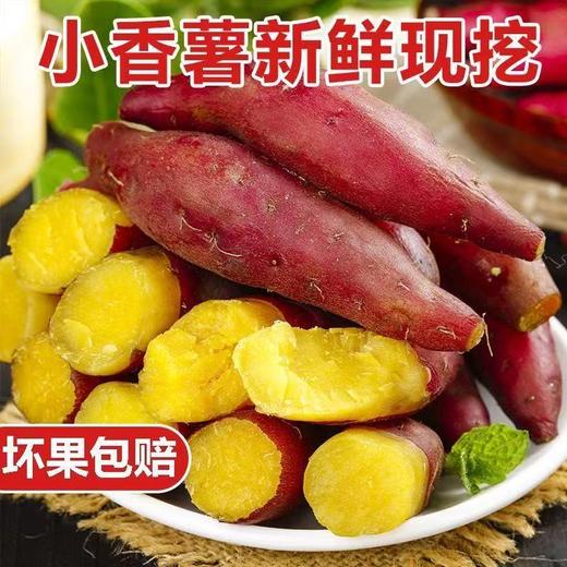 【粉糯香甜❗️新鲜小香薯】现摘现发新鲜直达，红皮黄心肉质细腻，口感绵密无筋无丝，新鲜地瓜番薯包邮现挖当季小香薯L 商品图0