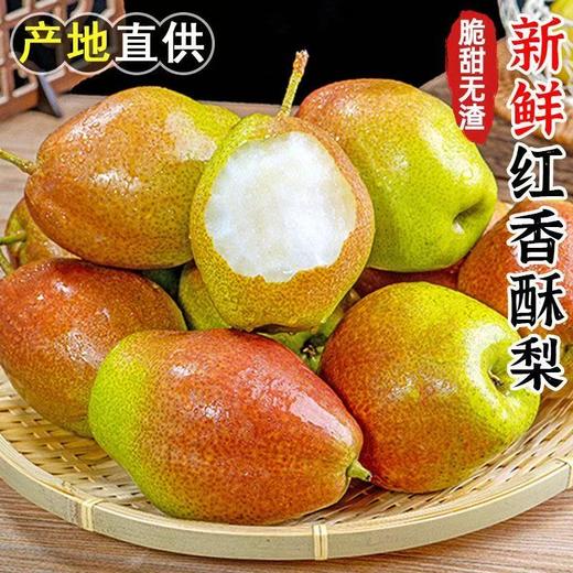 【产地直供❗️新鲜红香酥梨】产地直供现摘现发，果肉细腻脆嫩，汁水丰盈甜度高，解腻加餐，带来清爽脆甜体验，9斤整箱母梨子当季新鲜水果红香酥梨水果L 商品图0