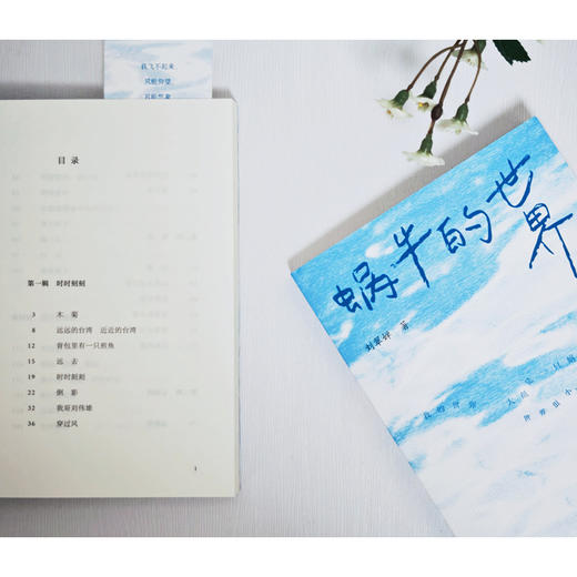 蜗牛的世界 商品图5