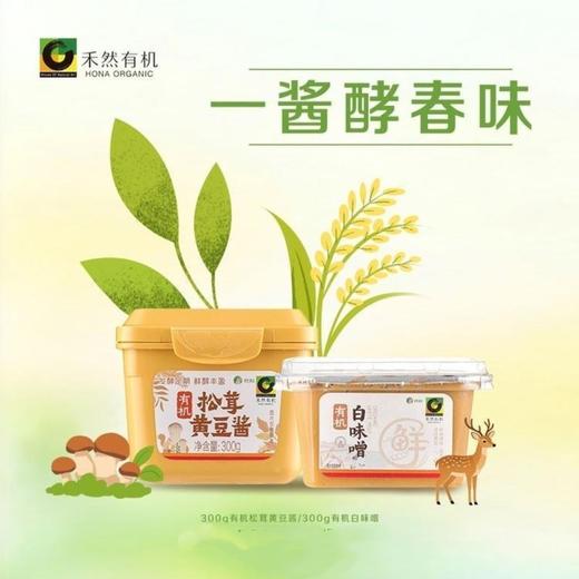 禾然有机调味料系列【一酱酵春味，鲜养归本源】 商品图0