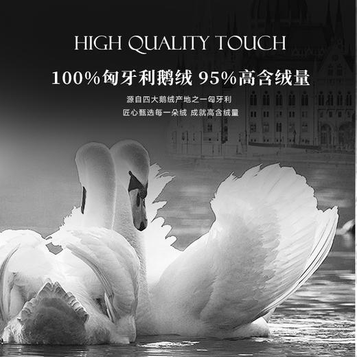 【新品】ESTEEM/宜庭 栖居者可水洗95鹅绒子母被两件套【专柜同款】 商品图7