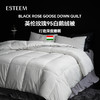 ESTEEM/宜庭英伦玫瑰95白鹅绒春秋被【专柜同款】 商品缩略图1