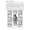 人体解剖生理学 第3三版 孙海基 主编 也可供生物技术专业、心理学专业、教育学专业、食品科学专业选作教材 本科教材 科学出版社 商品缩略图4