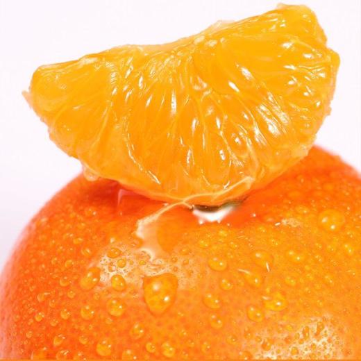 糖果柑1.2kg/袋 (果径50-55mm） 商品图4