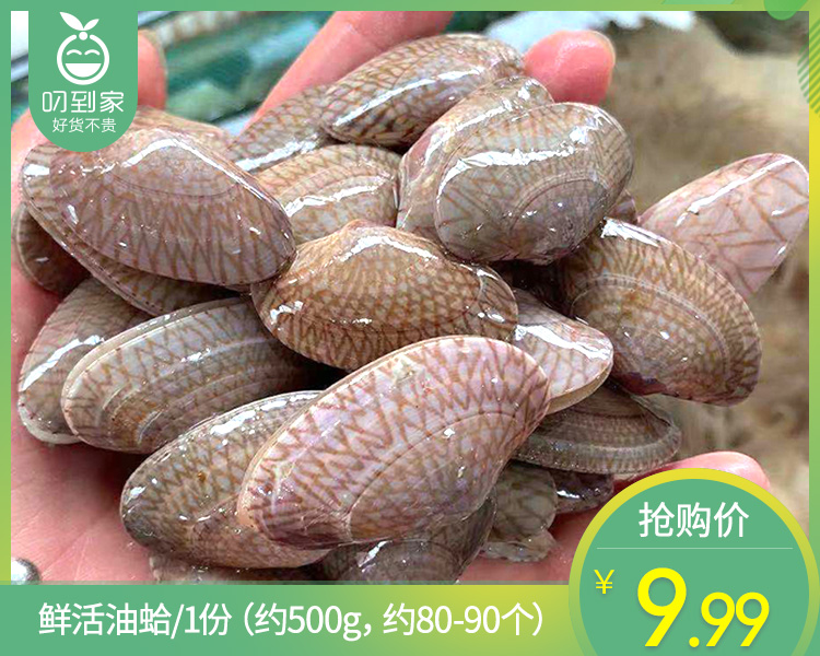 【叼鲜】鲜活油蛤/1份（约500g，约80-90个）