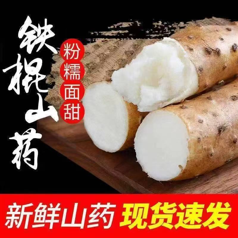 【粉糯面甜❗️正宗铁棍山药】现挖现发现货速发，肉质细腻口感绵密，自带自然清甜，适配日常膳食搭配，小白嘴山药新鲜蔬菜粉糯铁杆淮山药L