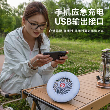 探险者（TAN XIAN ZHE）露营灯户外多功能灯扇帐篷灯户外照明便捷式充电挂灯 商品图3