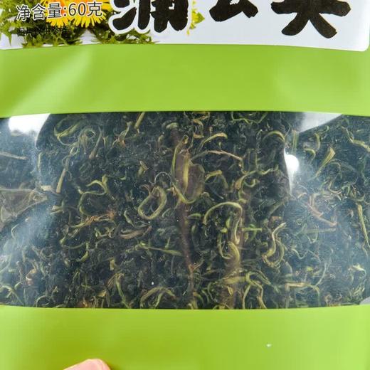 知友匠蒲公英60g 商品图1