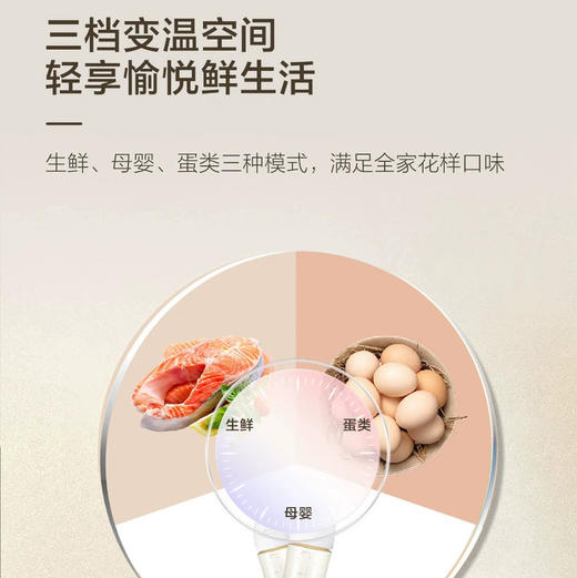 海尔（Haier）冰箱 BCD-501WGHTDEDS9U1 商品图9