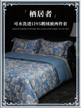 【新品】ESTEEM/宜庭 栖居者可水洗95鹅绒子母被两件套【专柜同款】