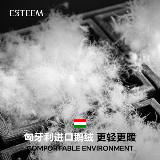 ESTEEM/宜庭英伦玫瑰95白鹅绒春秋被【专柜同款】 商品图3