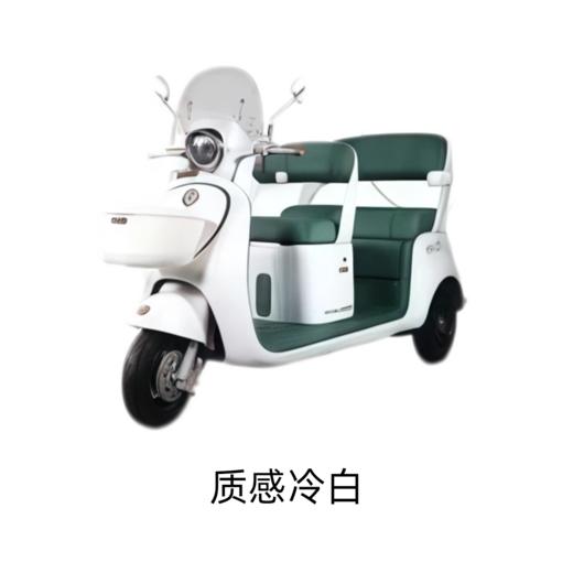 【美点·台铃三轮车】超能6DT嘟灵BC版 商品图3