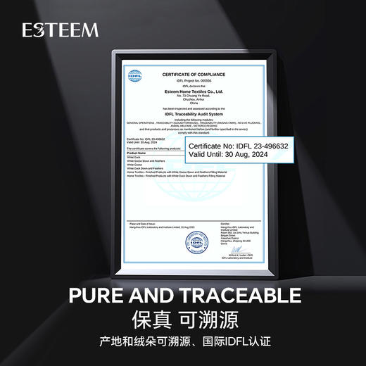 ESTEEM/宜庭英伦玫瑰95白鹅绒春秋被【专柜同款】 商品图5
