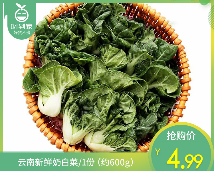 云南新鲜奶白菜/1份（约600g）