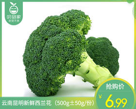 云南昆明新鲜西兰花（500g±50g/份）