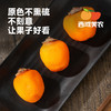 【我看谁记不住！！收到冰箱冷冻！冷冻！不是冷藏！！】西域美农流心冰柿柿饼 450g/袋  顺丰发货 商品缩略图6