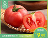 山东新鲜粉西红柿（1kg±70g/份） 商品缩略图0