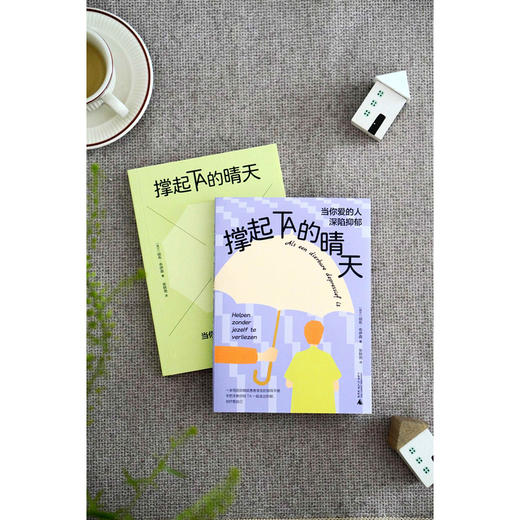 广雅·撑起TA的晴天：当你爱的人深陷抑郁（只要你需要，我会一直在！科学陪护，让爱不再成为负担。） 商品图3
