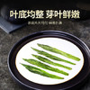 贡苑绿茶2026新茶 太平猴魁250g 正宗安徽黄山布尖雨前头采茶叶自己喝 商品缩略图1