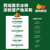 【我看谁记不住！！收到冰箱冷冻！冷冻！不是冷藏！！】西域美农流心冰柿柿饼 450g/袋  顺丰发货 商品缩略图2