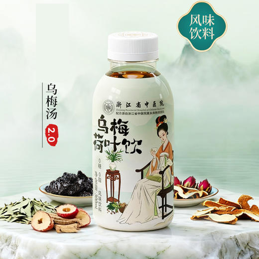 乌梅荷叶饮风味饮料6瓶装/12瓶装 天然草本 0糖0脂 商品图0