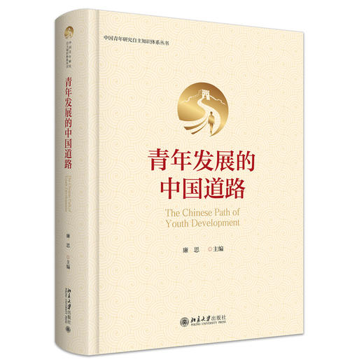 青年发展的中国道路 廉思 主编  北京大学出版社 商品图3