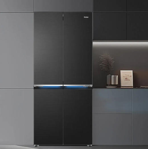 海尔（Haier）冰箱 BCD-508WGHTD1BXZU1 商品图6