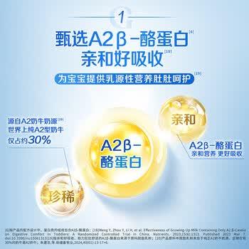 嘉宝（GERBER）A2β-酪蛋白配方米粉250g10倍益生菌双蛋白高铁米粉100%真验厂 商品图5