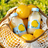柚香谷宋柚汁双柚汁乳酸菌饮料 原果研磨0脂无负担 送礼佳品300g*20瓶 /水饮冲调 /饮料 /乳酸菌饮料 商品缩略图4