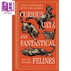 【中商原版】奇猫与幻兽 民间传说与神话中的猫 Curious Cats and Fantastical Felines 英文原版 Willow Winsham 商品缩略图0