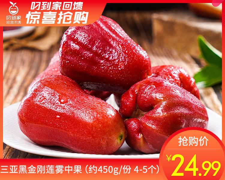 三亚黑金刚莲雾中果（450g±25g/份 4-5颗）