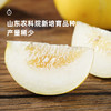 企鹅市集|山东临沂 黄冰糖脆甜瓜 2规格可选 清脆甜蜜 小巧可爱 商品缩略图1